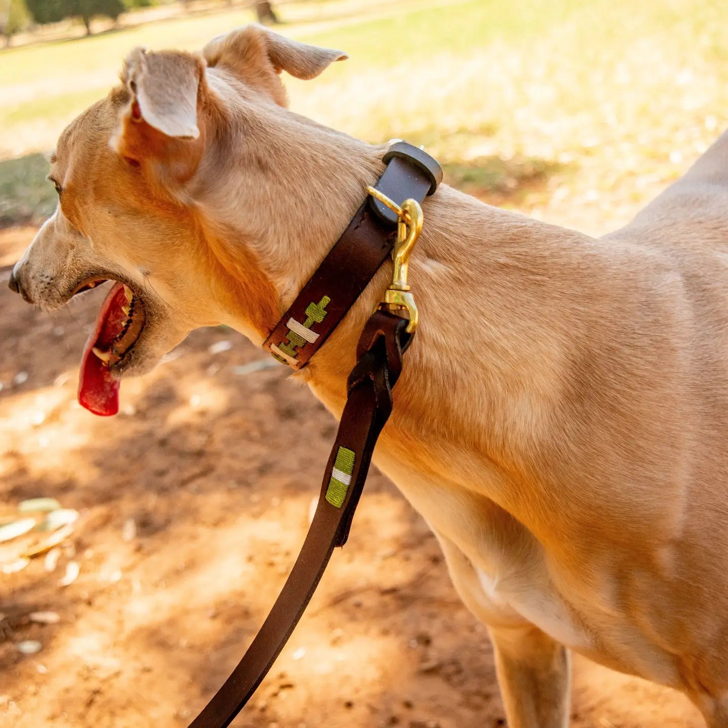 GEORGIE PAWS MANTIS GREEN POLO LEAD LOCKER