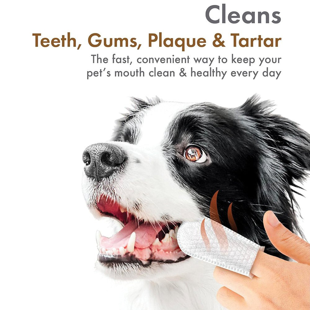 PETKIN FINGERTIP TOOTH WIPES PEANUT BUTTER FLAVOUR 50PK