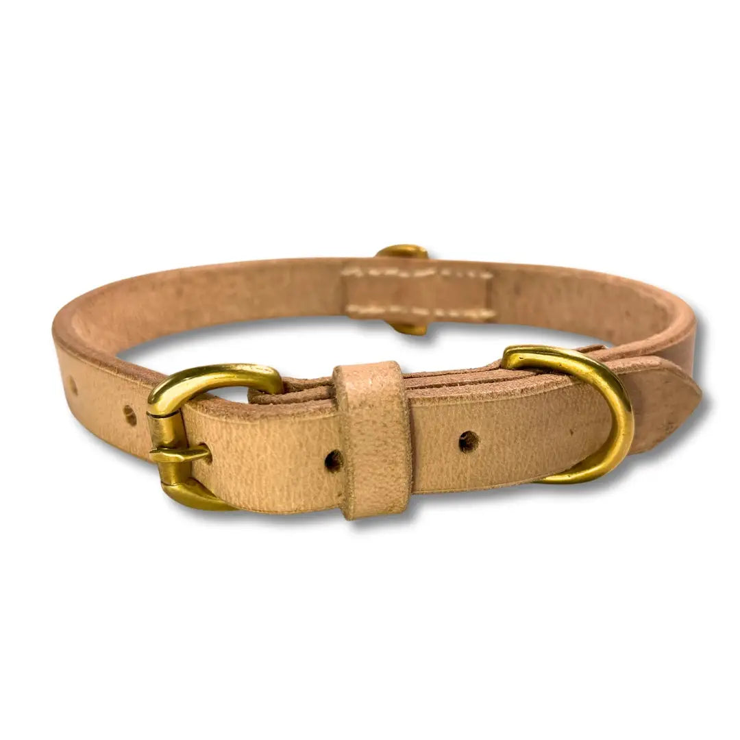 GEORGIE PAWS BALD COLLAR