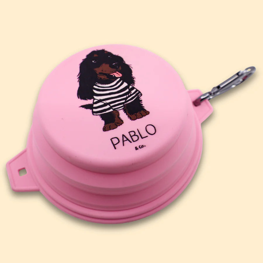 PABLO & CO. COLLAPSIBLE DOG WATER BOWL