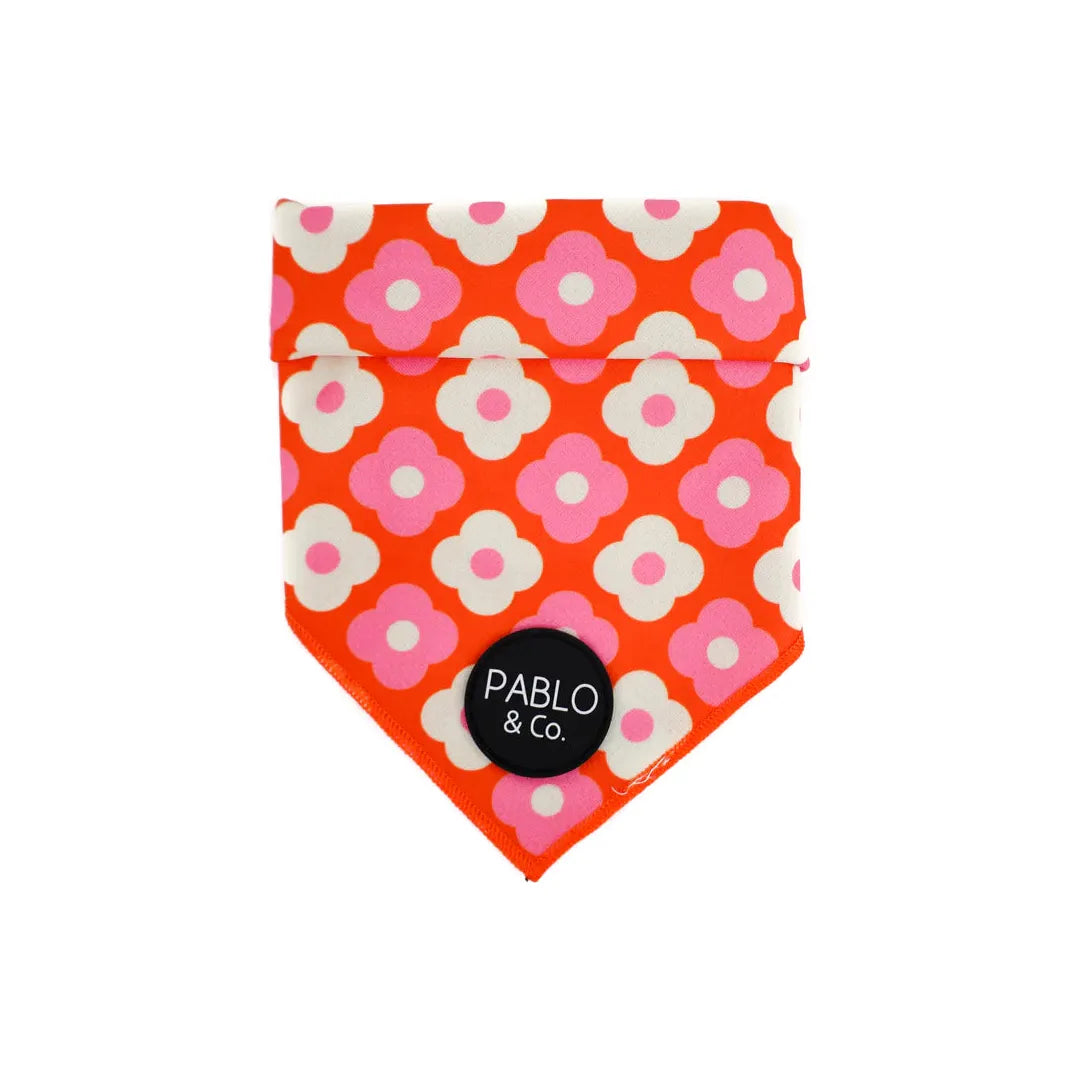 PABLO & CO. BANDANA