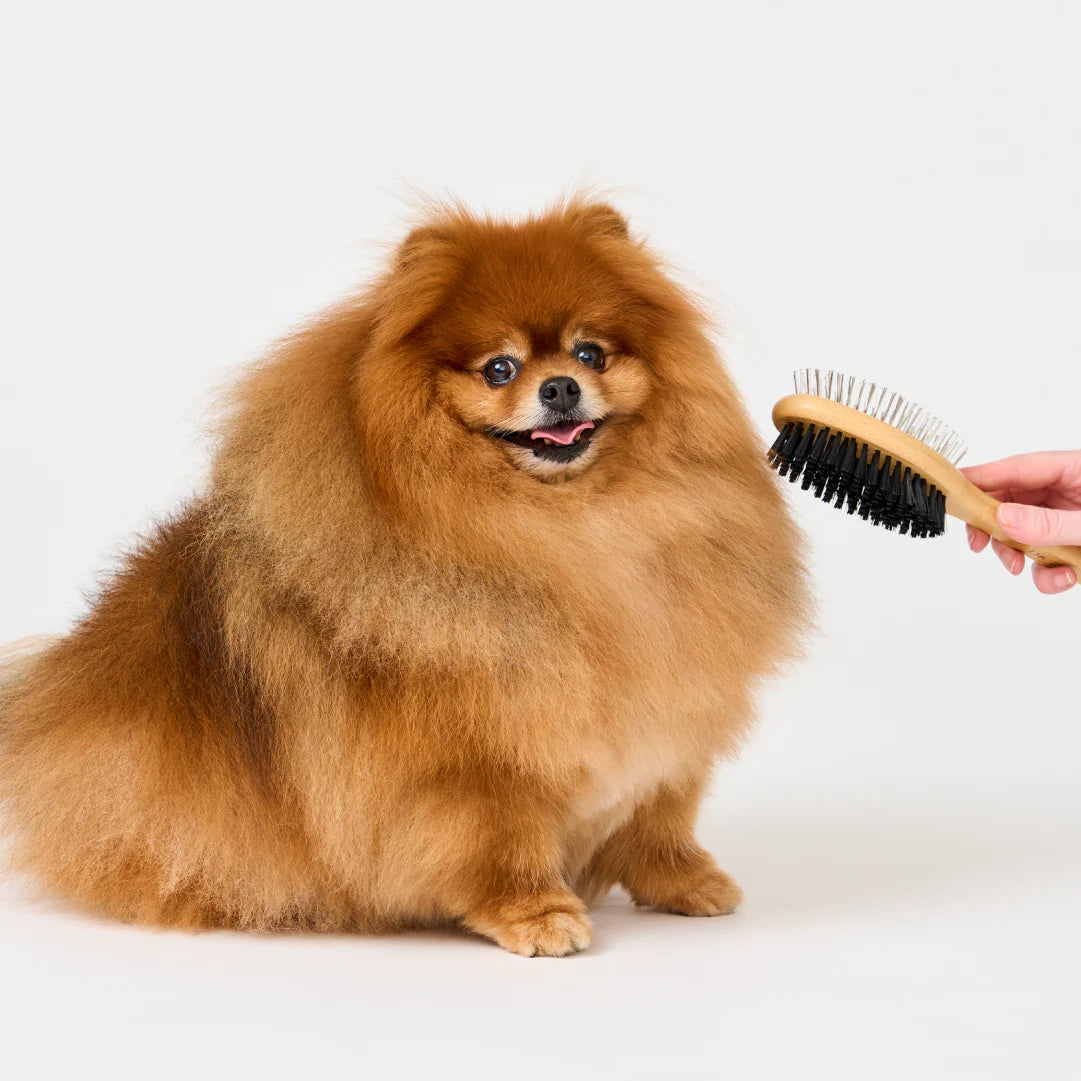 DR ZOO BAMBOO GROOMING BRUSH