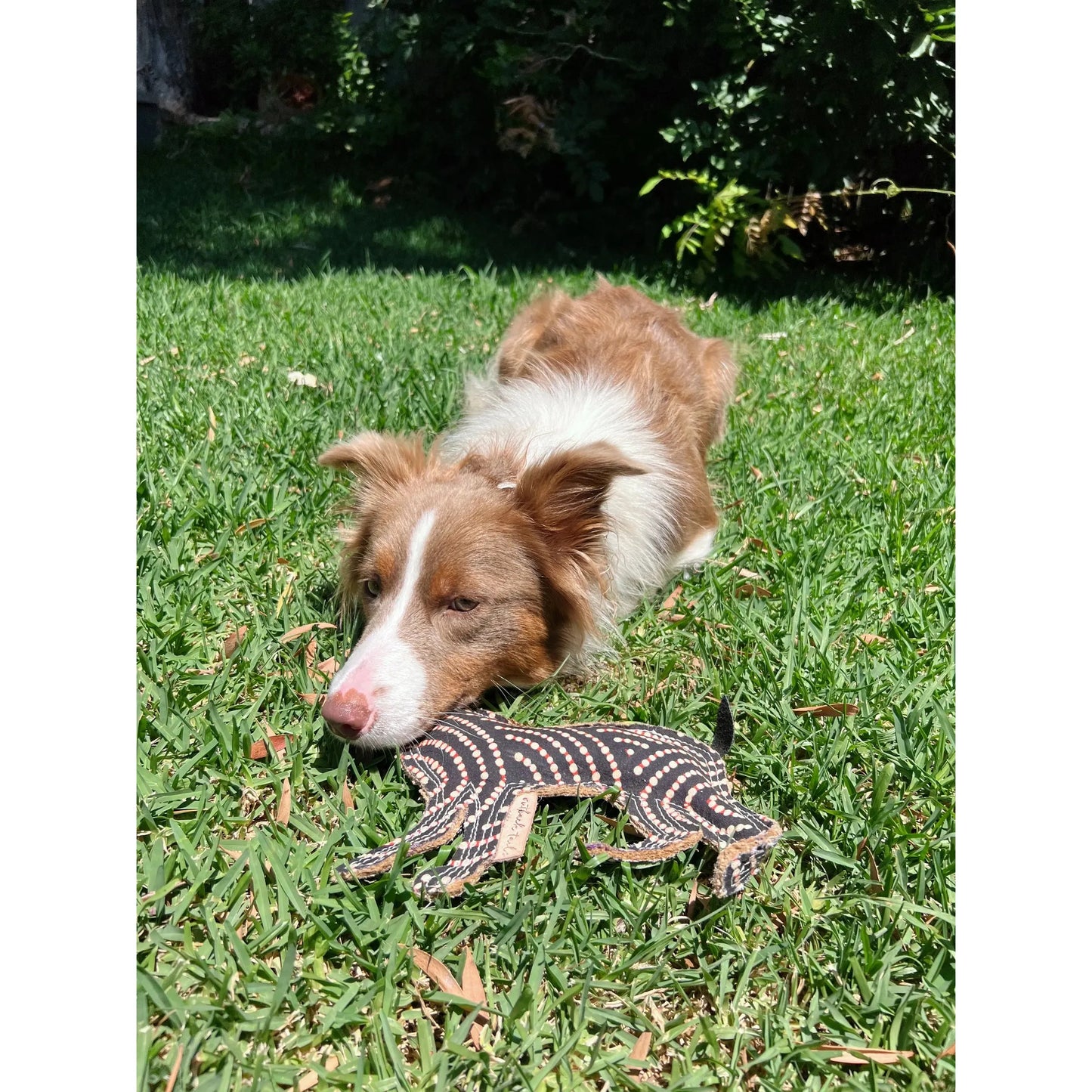 OUTBACK TAILS DESERT DOG CHEW TOY