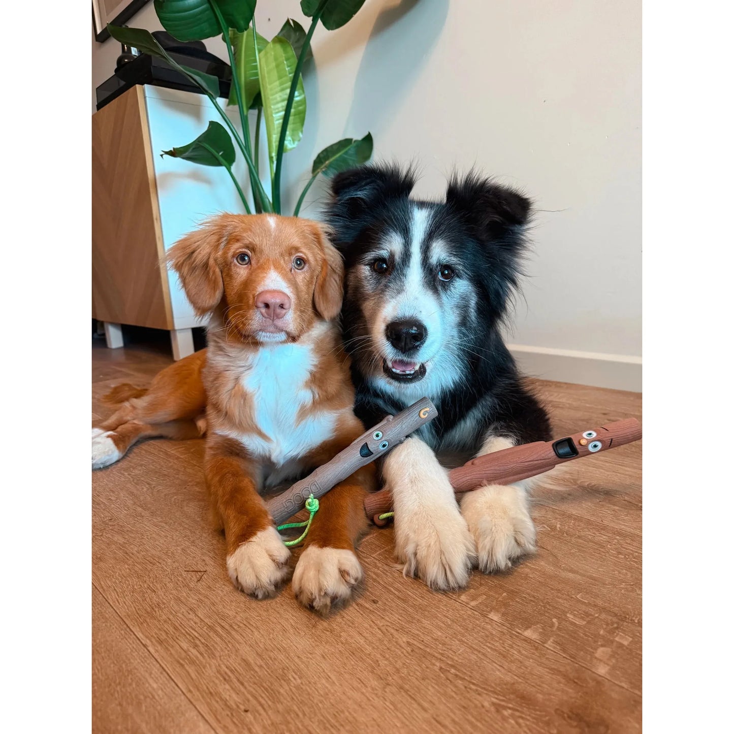 DOOG STICK FAMILY NEW BABY BARKLEY