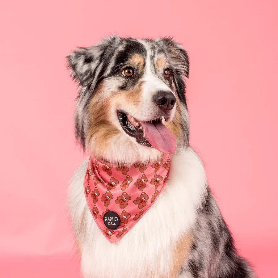 PABLO & CO. BANDANA