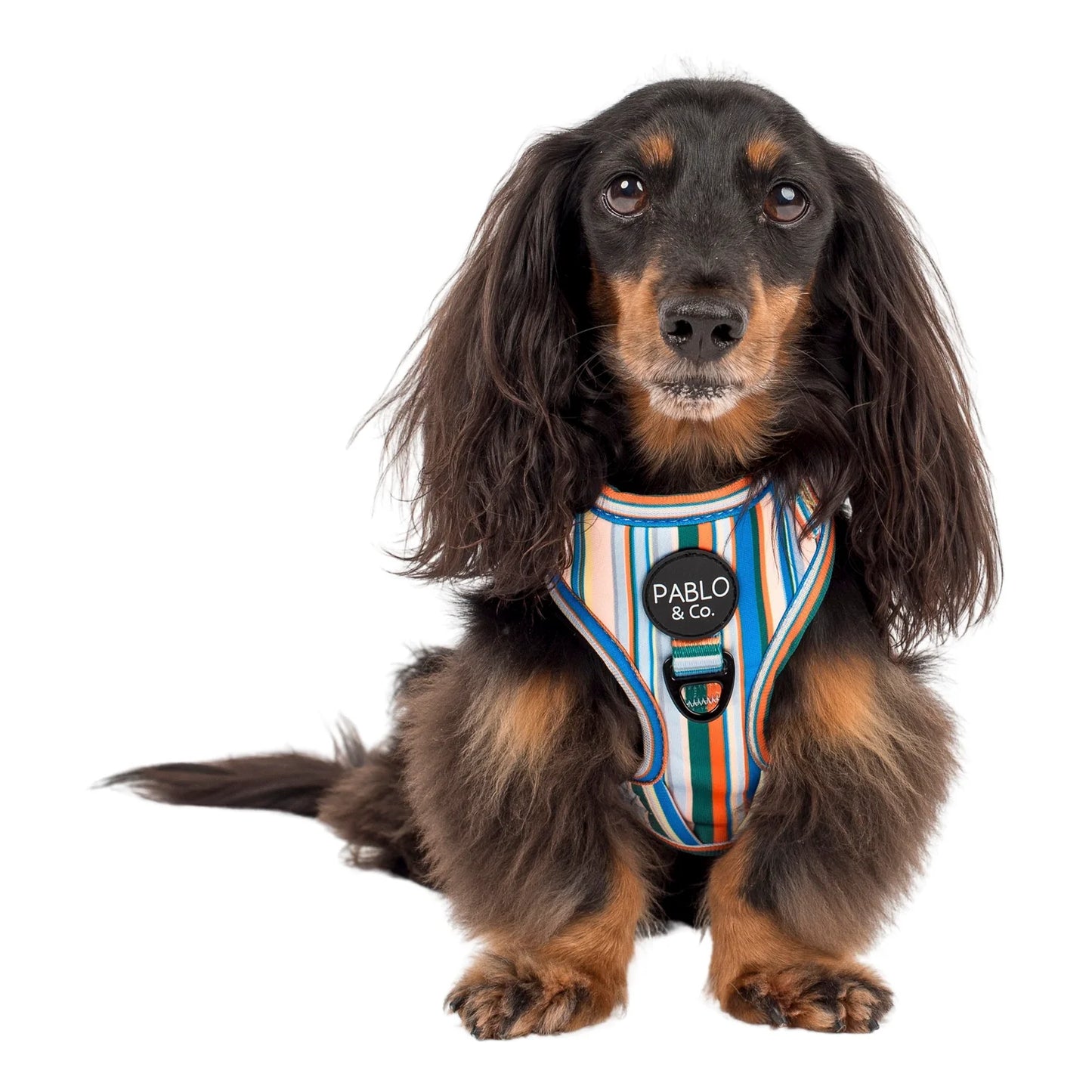 PABLO & CO. ADJUSTABLE HARNESS