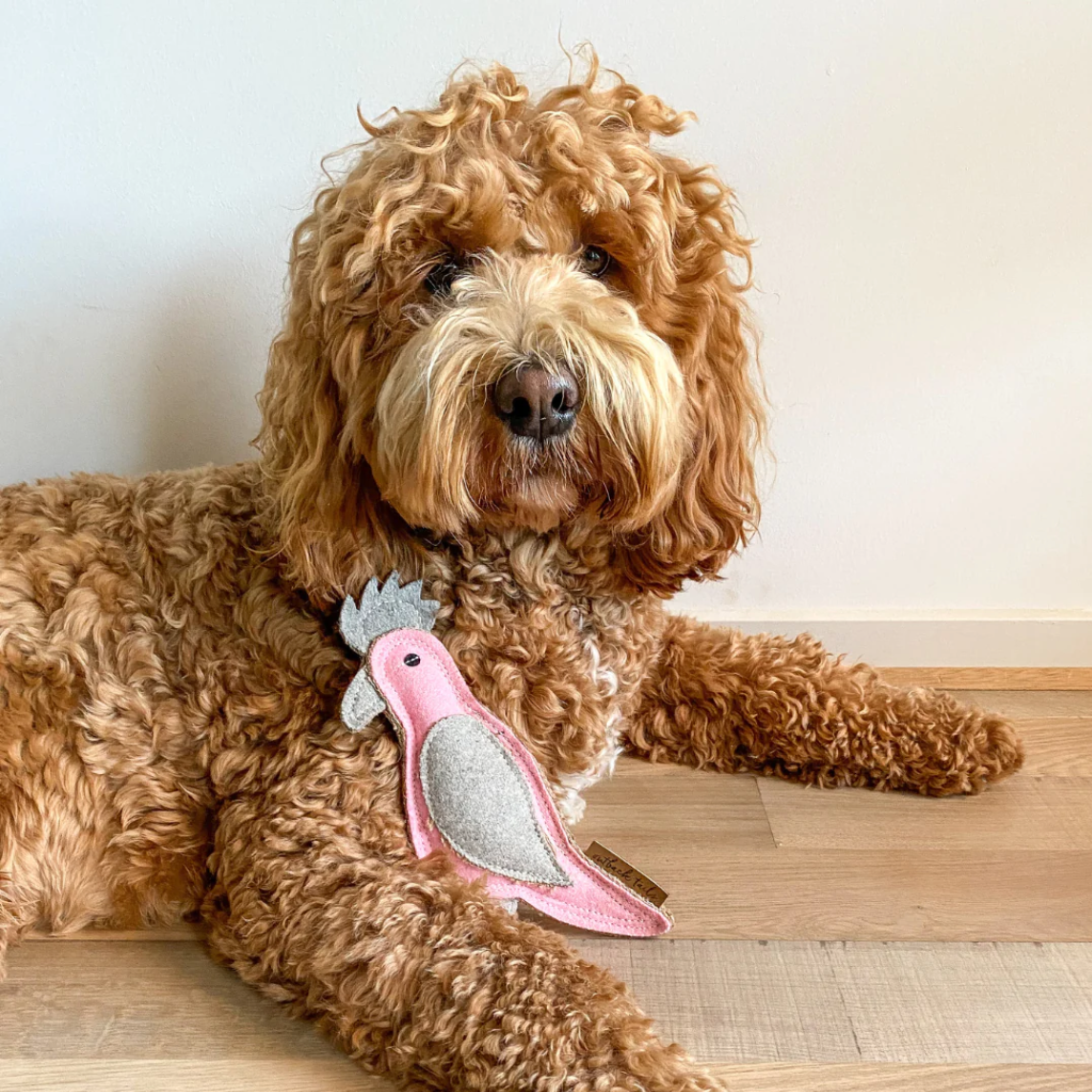 OUTBACK TAILS TOY GERTIE GALLAH