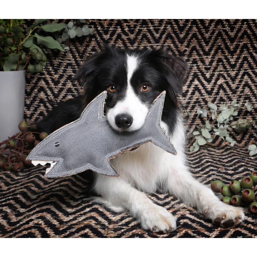 OUTBACK TAILS TOY SHAZZA THE SHARK