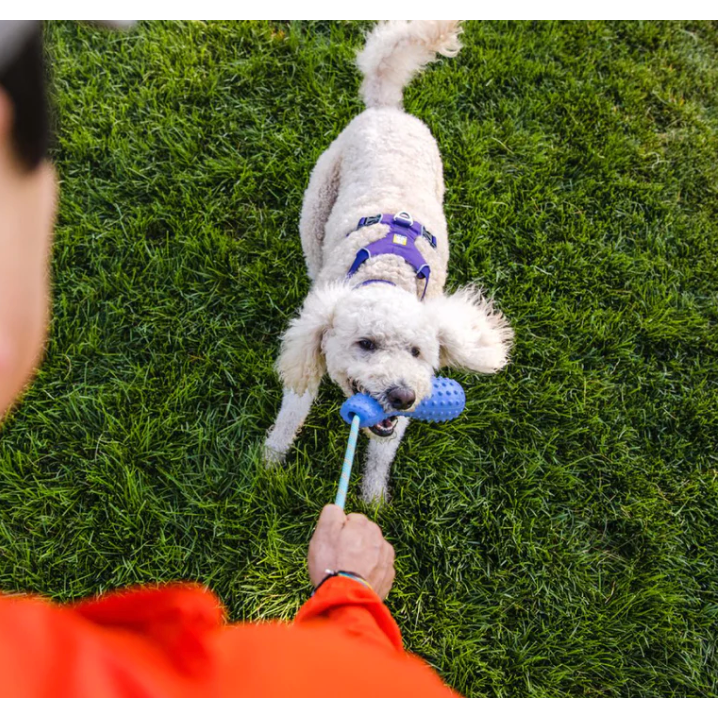 RUFFWEAR TOY GOURDO