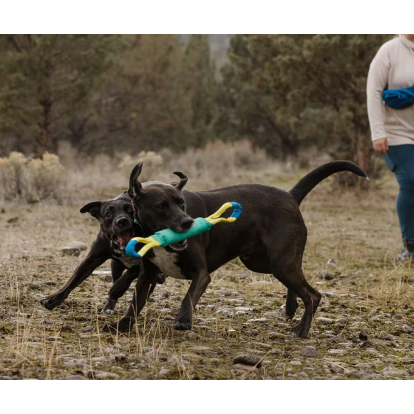 RUFFWEAR TOY PACIFIC LOOP