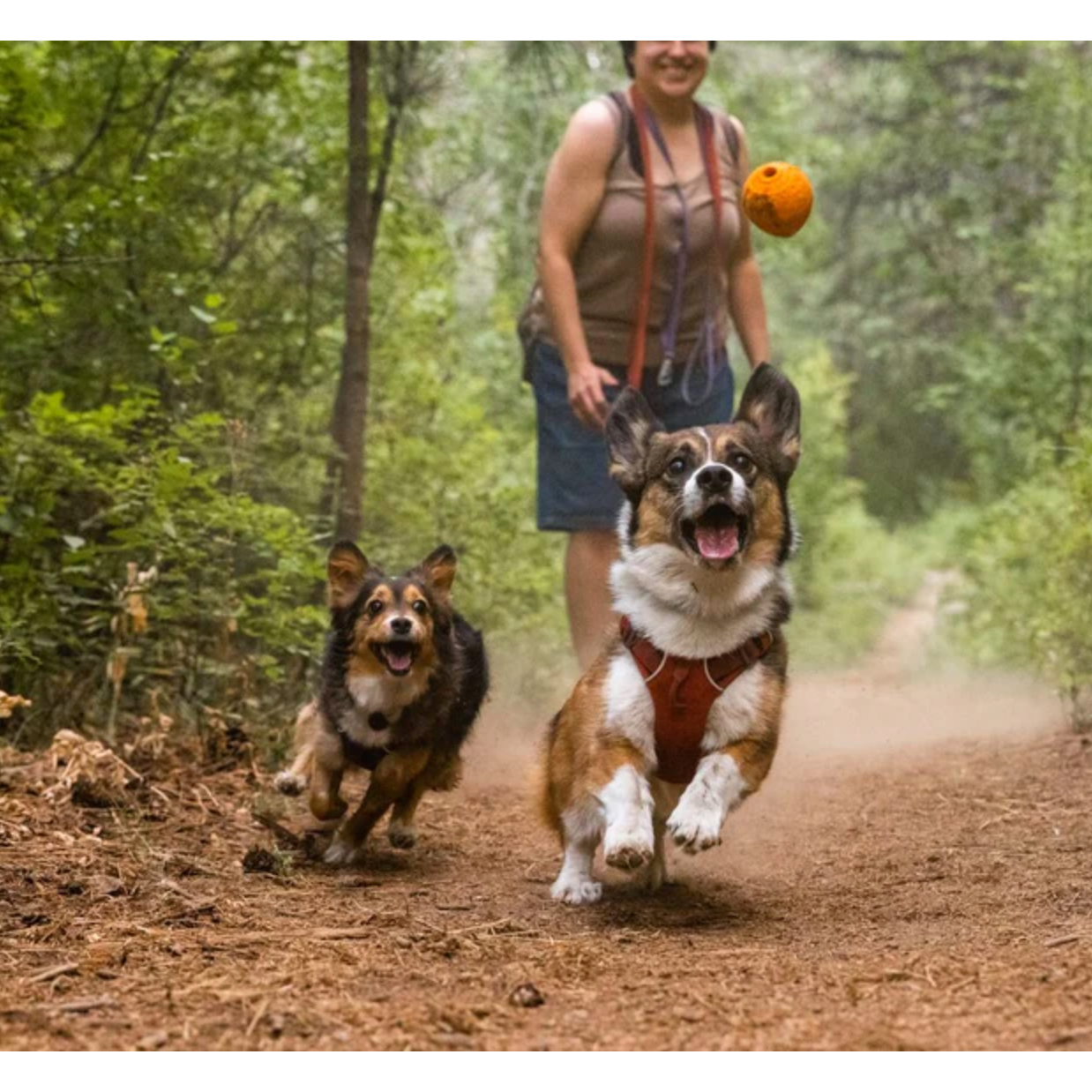 RUFFWEAR TOY TURNUP