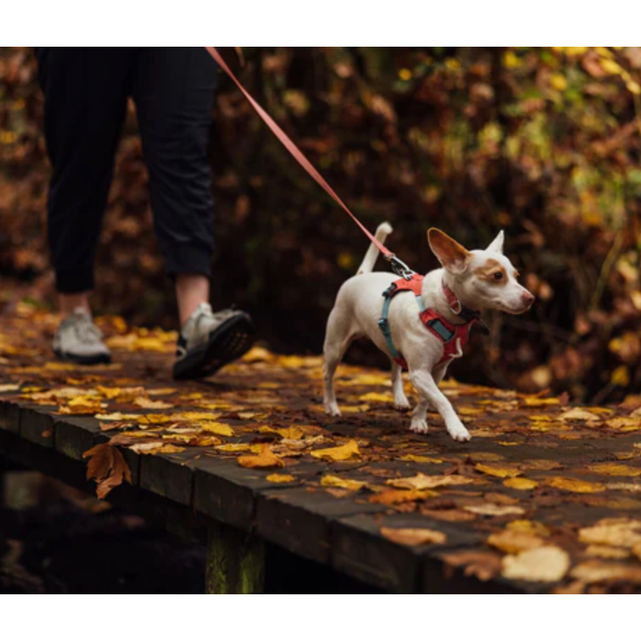RUFFWEAR HARNESS HI & LIGHT