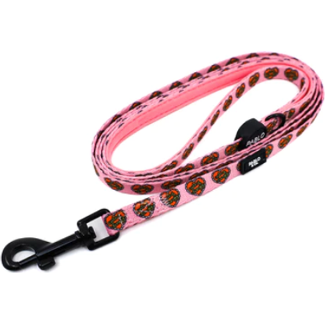 PABLO & CO. CAT LEAD