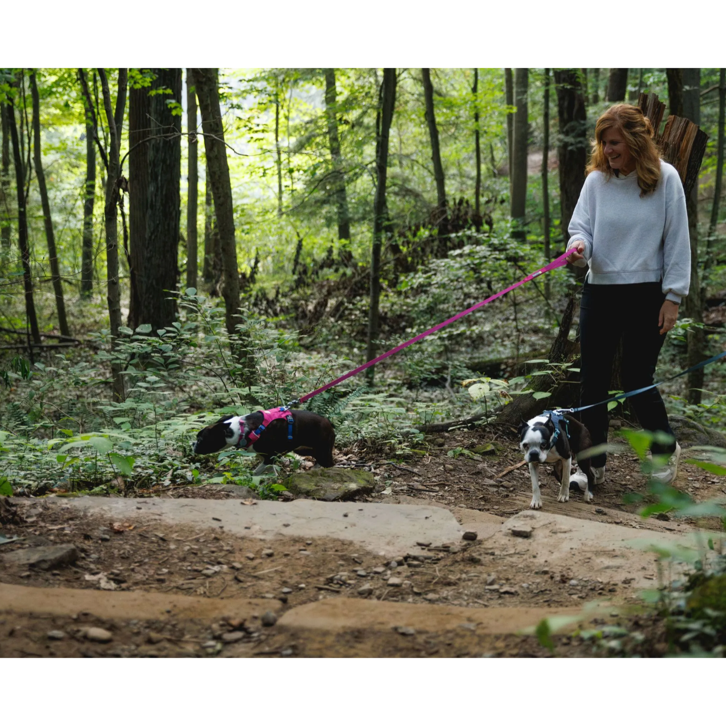 RUFFWEAR HARNESS NEW HI & LIGHT