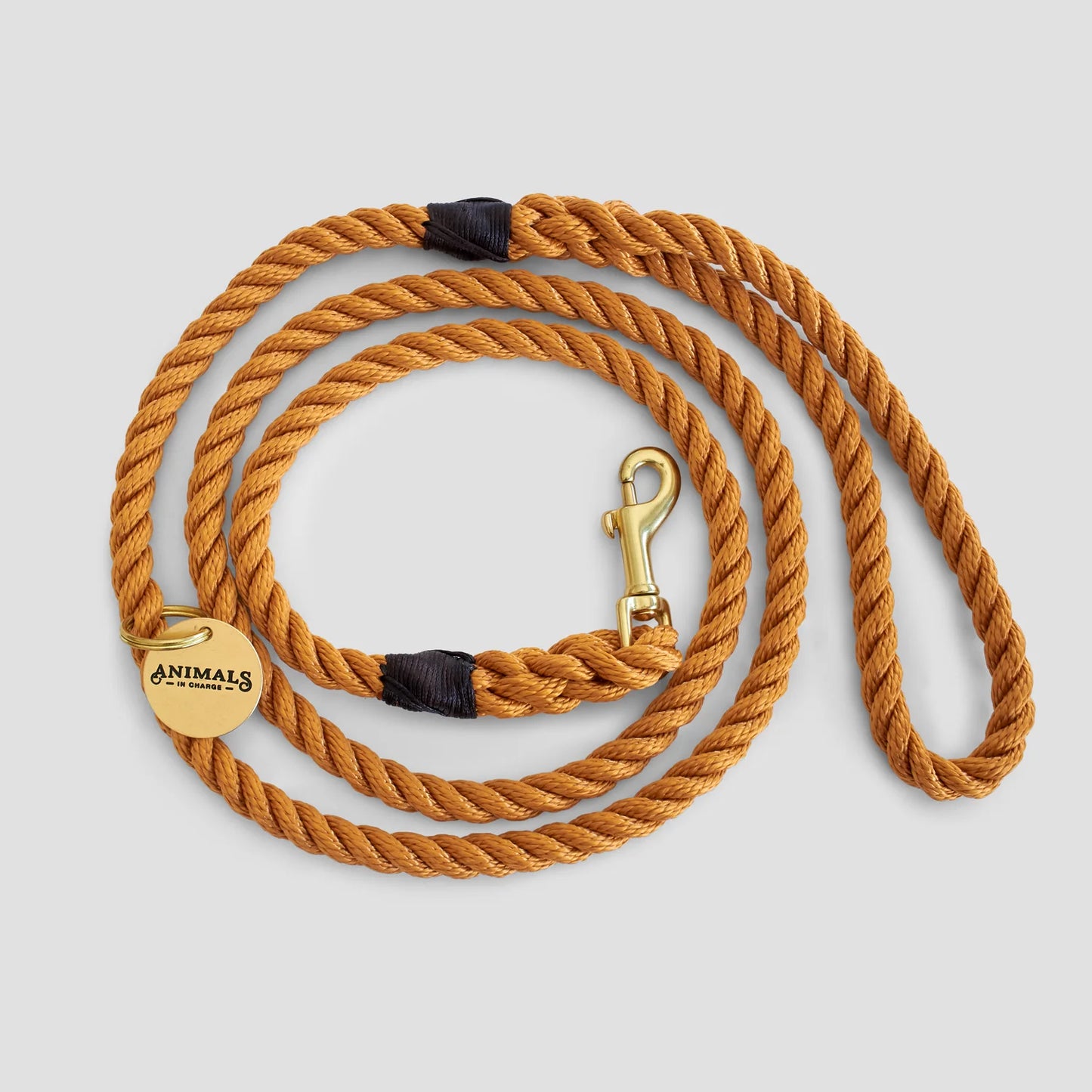 ANIMALS IN CHARGE RECYCLED ROPE DOG LEASH