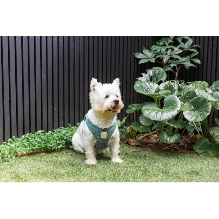 FUZZYARD LIFE CORDUROY STEP IN HARNESS