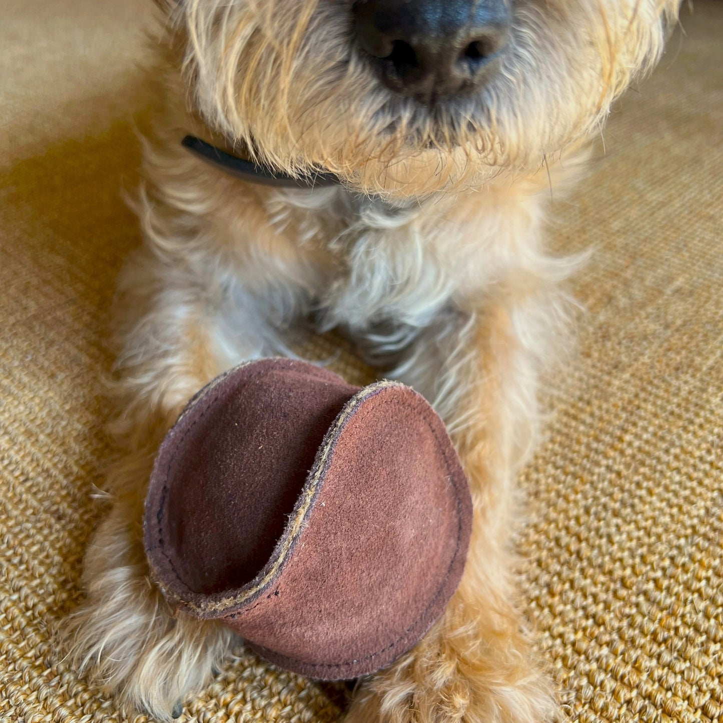 GEORGIE PAWS ECO-FRIENDLY BALL
