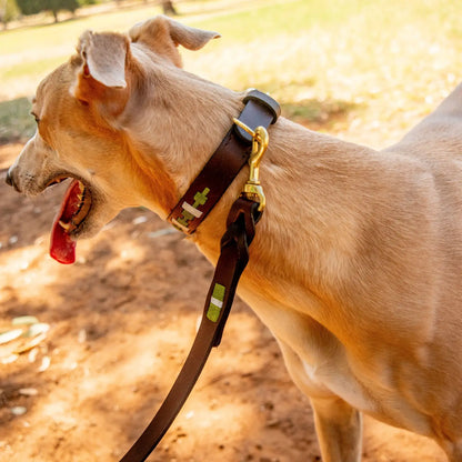 GEORGIE PAWS MANTIS GREEN POLO LEAD LOCKER