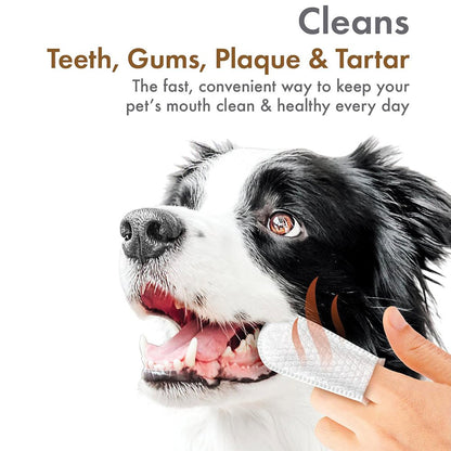 PETKIN FINGERTIP TOOTH WIPES PEANUT BUTTER FLAVOUR 50PK