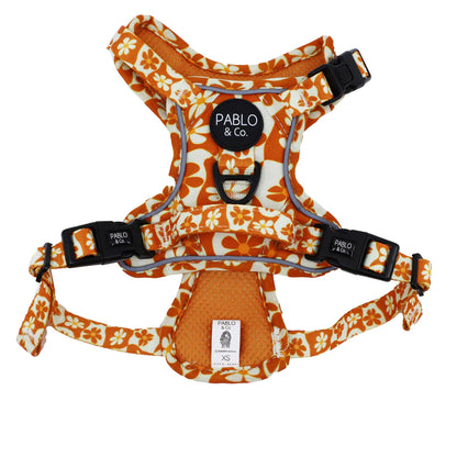PABLO & CO. ADVENTURE HARNESS