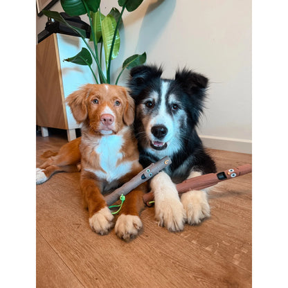 DOOG STICK FAMILY NEW BABY BARKLEY