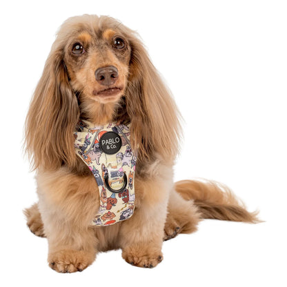 PABLO & CO. ADVENTURE HARNESS