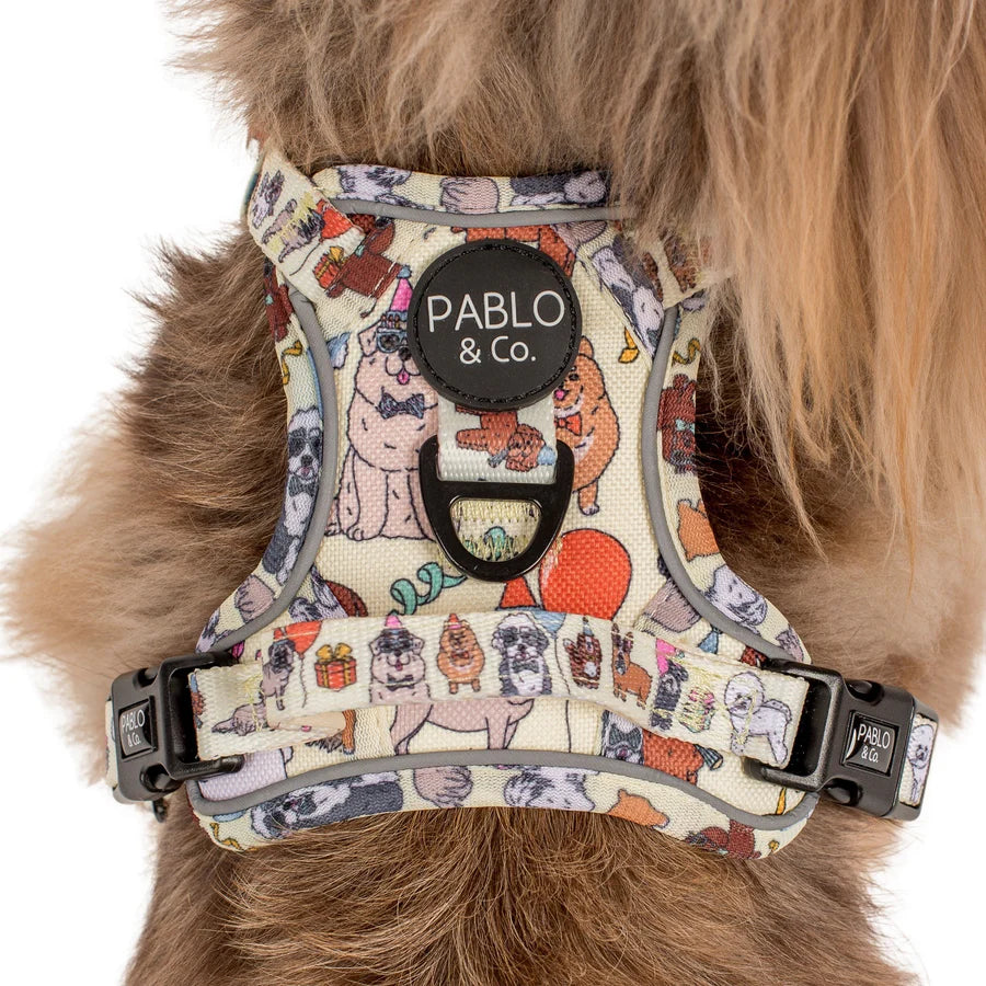 PABLO & CO. ADVENTURE HARNESS