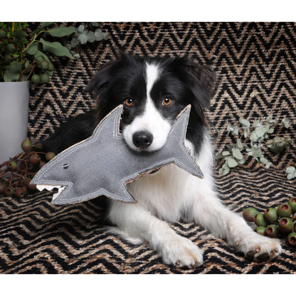 OUTBACK TAILS TOY SHAZZA THE SHARK