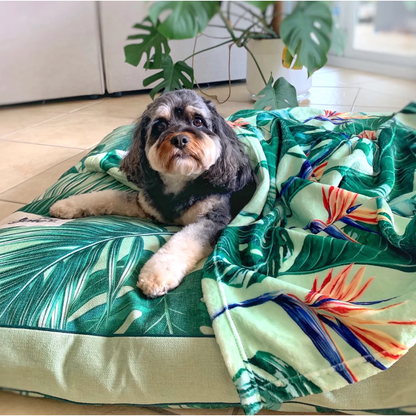 INDIE BOHO BLANKET