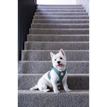 FUZZYARD LIFE STEP IN HARNESS