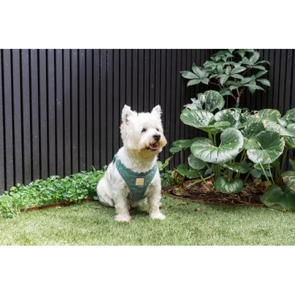 FUZZYARD LIFE CORDUROY STEP IN HARNESS