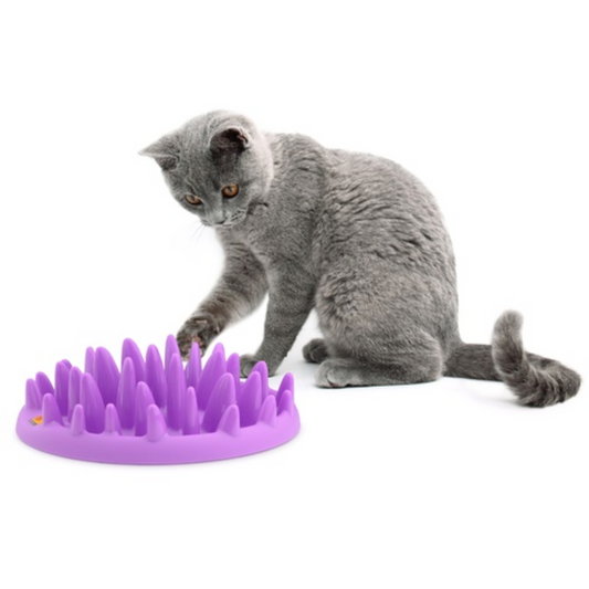 NORTHMATE INTERACTIVE FEEDER